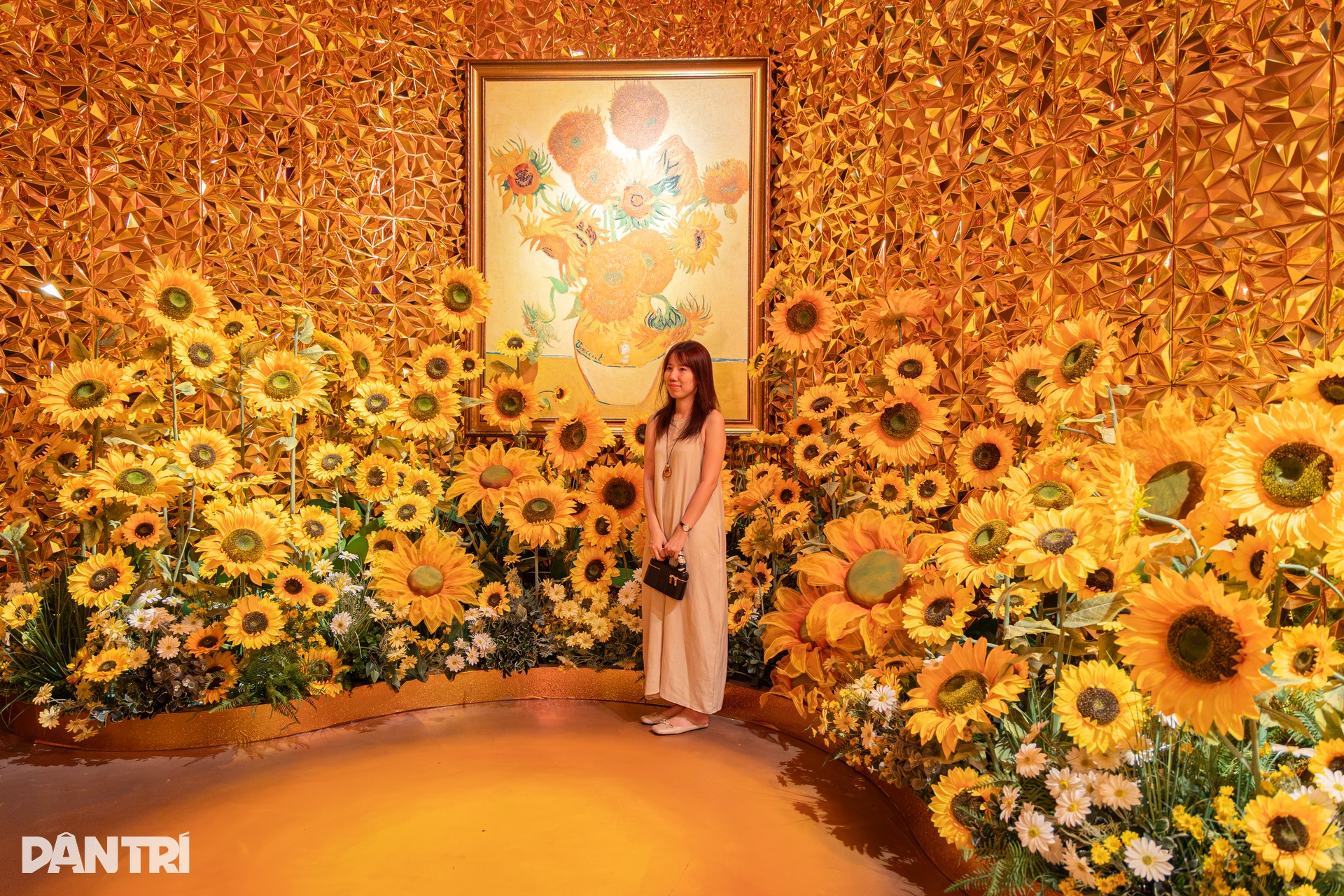 Giới trẻ Hà Nội trải nghiệm không gian nghệ thuật đa giác quan của Van Gogh - 5
