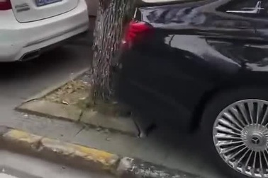 Tài xế xe sang và cách đậu khiến nhiều người thán phục