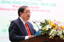 Vì sao thu nhập, chất lượng lao động vùng ĐBSCL thấp?