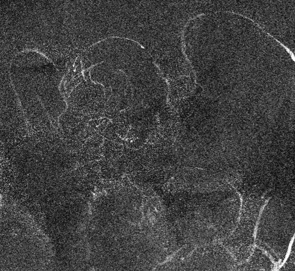Phát hiện hình Chúa hài đồng ẩn giấu trong bức họa của Leonardo da Vinci - 2 Phát hiện hình Chúa hài đồng ẩn giấu trong bức họa của Leonardo da Vinci - 2