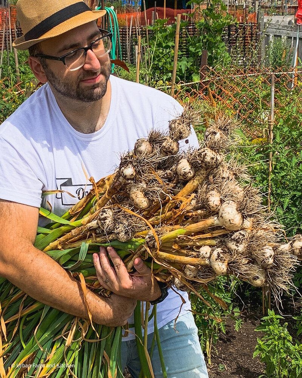 Stress vì công việc, chàng trai lột xác sân thành vườn rau sạch - 9