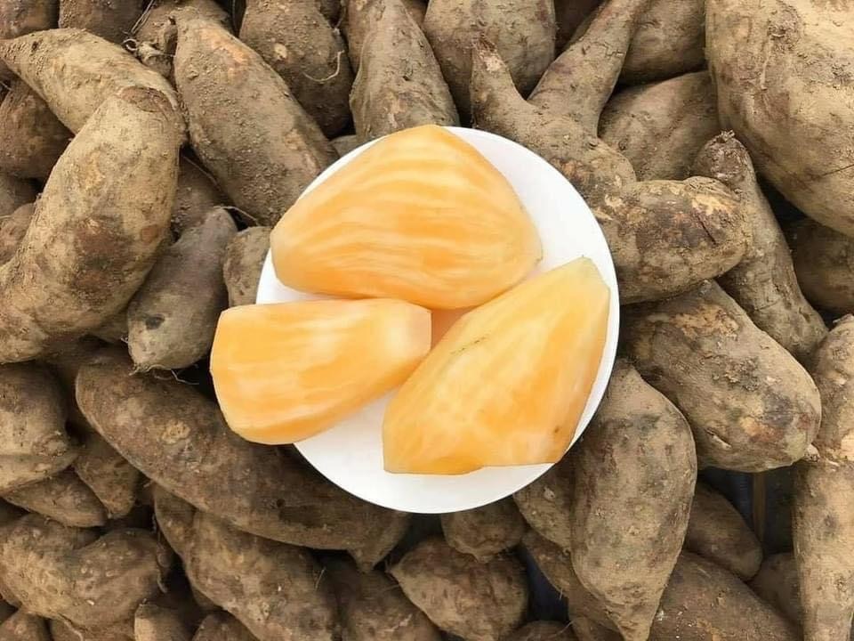 Hà Nội: Chị em mê tít đặc sản Lào Cai giá rẻ như khoai - 4 Hà Nội: Chị em mê tít đặc sản Lào Cai giá rẻ như khoai - 4