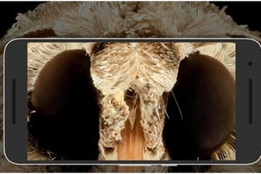 Thiết bị giúp nhìn được màn hình điện thoại dưới nắng mà không bị chói