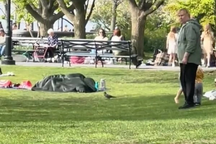 Cặp đôi bị nghi ngờ "làm chuyện ấy" giữa công viên ngay trước mặt trẻ nhỏ