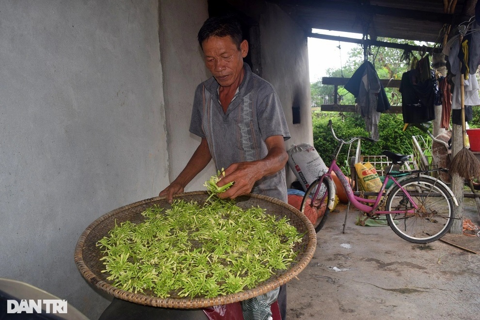 Ước nguyện xót xa trước lúc chết của người mẹ ung thư về 2 con bị u não - 2 Ước nguyện xót xa trước lúc chết của người mẹ ung thư về 2 con bị u não - 2