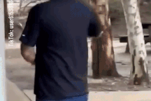 Video du khách Mỹ "đấu tay đôi" với chuột túi hung hãn hút triệu lượt xem