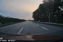 Tài xế ô tô “đứng hình” nhìn người đàn ông đi xe đạp băng qua đường cao tốc