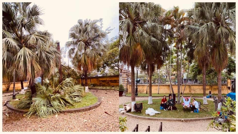 Nhà sản xuất “mất trắng” hàng tỷ đồng vì cơn bão Noul - 3 Nhà sản xuất “mất trắng” hàng tỷ đồng vì cơn bão Noul - 3