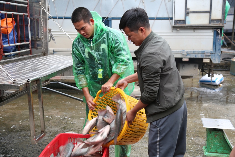 Mưu sinh trong giá rét giữa chợ cá lớn nhất Thủ đô - 14