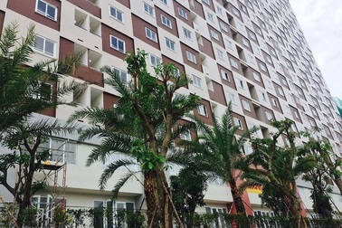 Thống nhất quy trình 5 bước thực hiện dự án nhà ở thương mại