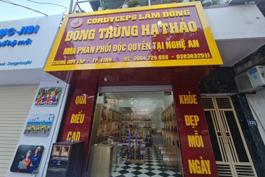 Khai trương showroom Đông trùng hạ thảo tại Nghệ An