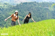 Đà Lạt, Phú Quốc hạ nhiệt, Quảng Ninh thành điểm nóng du lịch