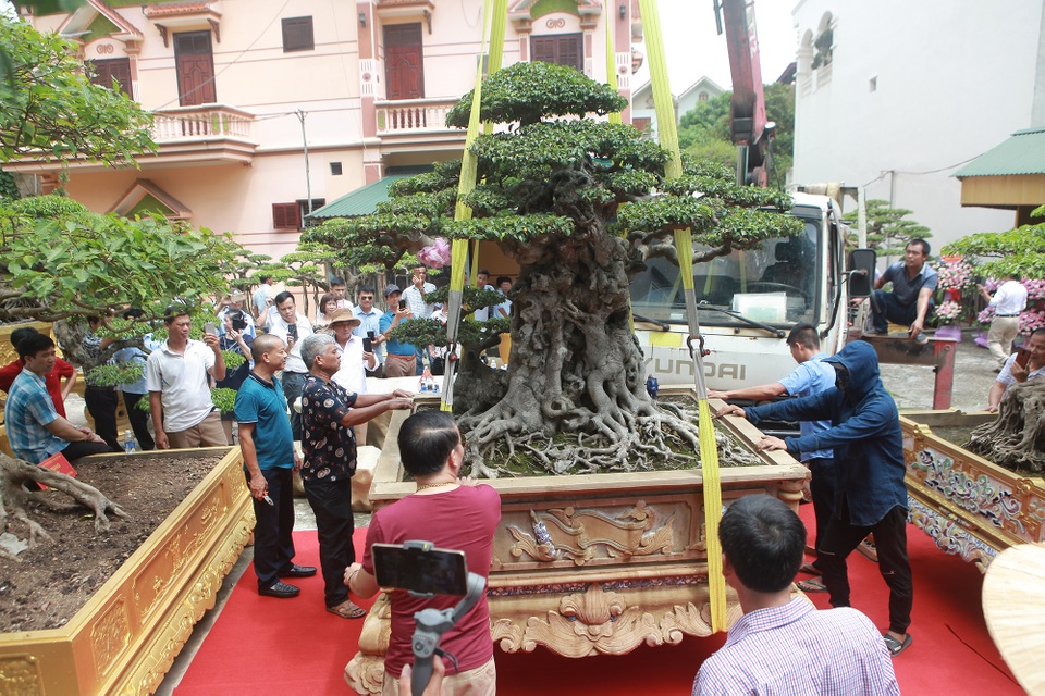 “Chấn động” tác phẩm 28 tỷ đồng được “biến hóa” từ ngọn cây tưởng bỏ đi - 6 “Chấn động” tác phẩm 28 tỷ đồng được “biến hóa” từ ngọn cây tưởng bỏ đi - 6
