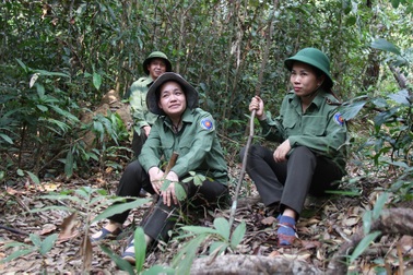 Những "bông hồng thép" chung lời thề giữ rừng