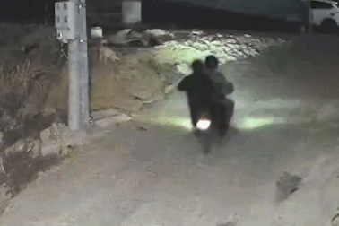 Người dân bức xúc vì “cẩu tặc” hoành hành ở Đà Lạt