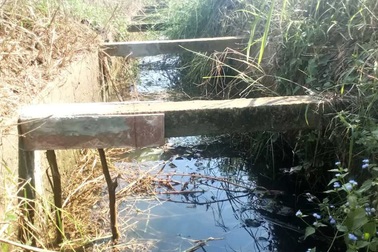 Vụ bò ngã làm lộ... bê tông cốt gỗ: Sẽ đập thêm thanh giằng để kiểm tra