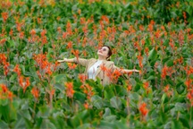 Hoa dong riềng nở rộ trên núi lửa triệu năm, hút khách đến Gia Lai check-in