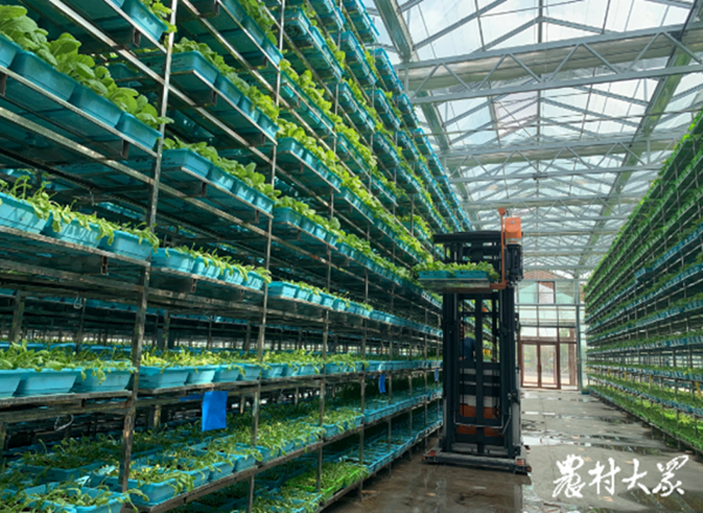 Công nghệ đặc biệt, loạt giàn rau khủng 10 tầng, thu hoạch nhiều tấn/ngày - 1 Công nghệ đặc biệt, loạt giàn rau khủng 10 tầng, thu hoạch nhiều tấn/ngày - 1