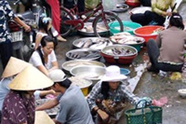 Thực phẩm ngày Tết “vùn vụt” tăng giá