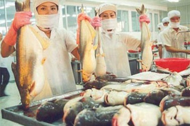 "Được" và "mất" sau 2 năm gia nhập WTO