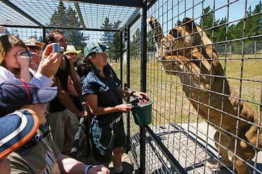 Hình ảnh về vườn thú Lehe Ledu