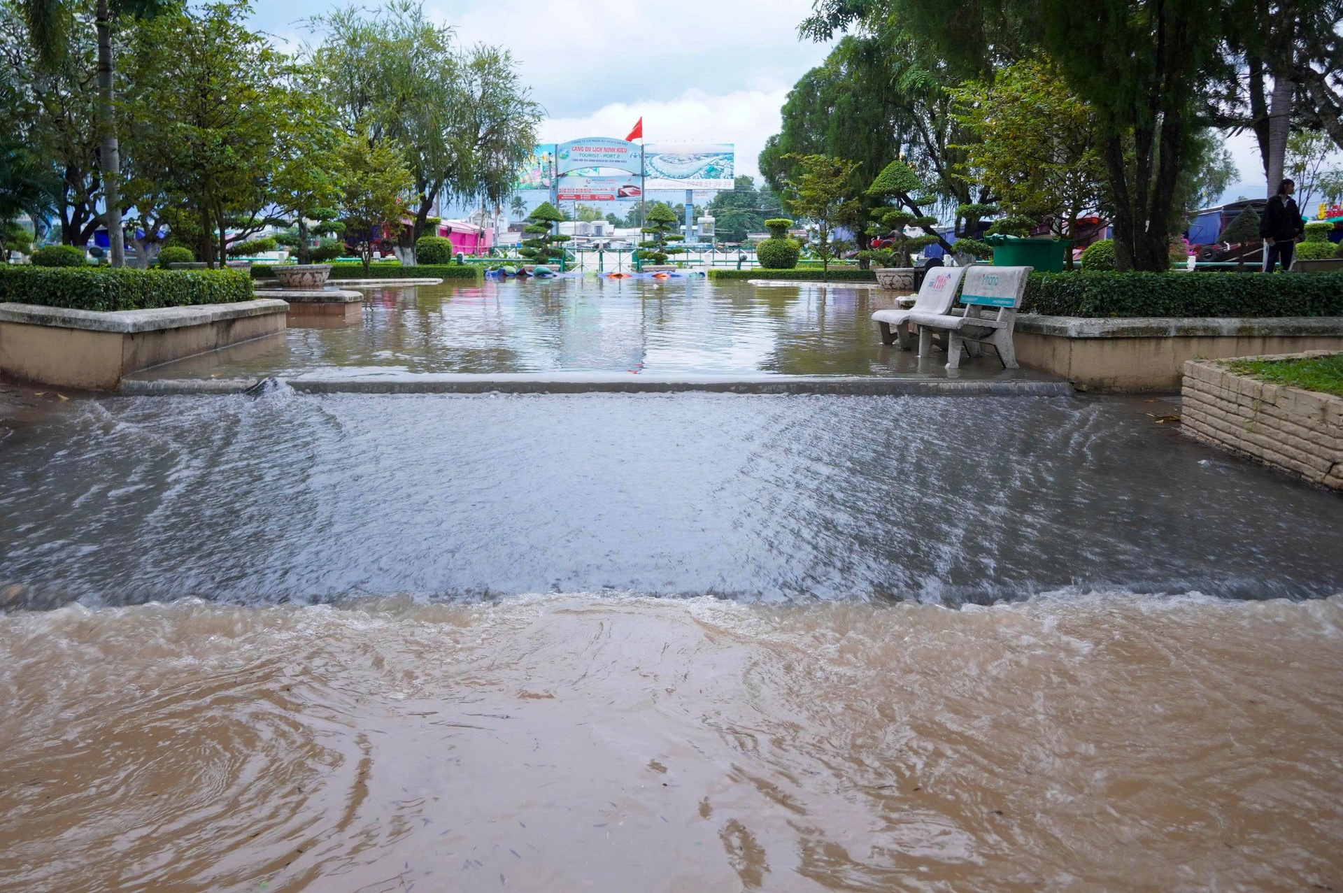 Người Cần Thơ đội mưa, lội nước về nhà trong ngày triều cường vượt báo động - 8