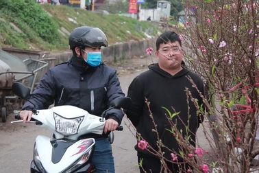 Đào, bưởi "rủng rỉnh" xuống phố phục vụ Tết dương lịch