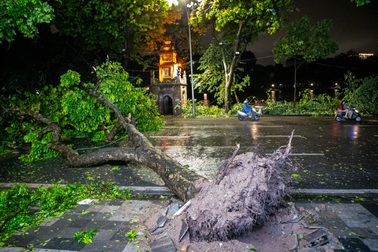 Cây xanh ở quanh hồ Gươm gãy đổ tan hoang sau khi bão Yagi quét qua