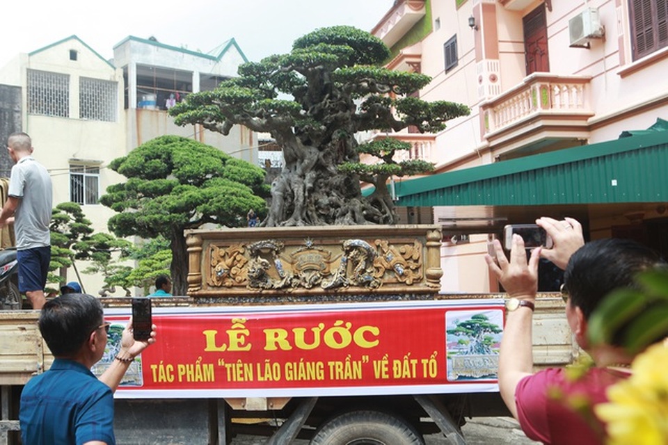 Lan phi điệp tiền tỷ phải kê khai thuế: Dân buôn hết thời thổi giá? - 2 Lan phi điệp tiền tỷ phải kê khai thuế: Dân buôn hết thời thổi giá? - 2
