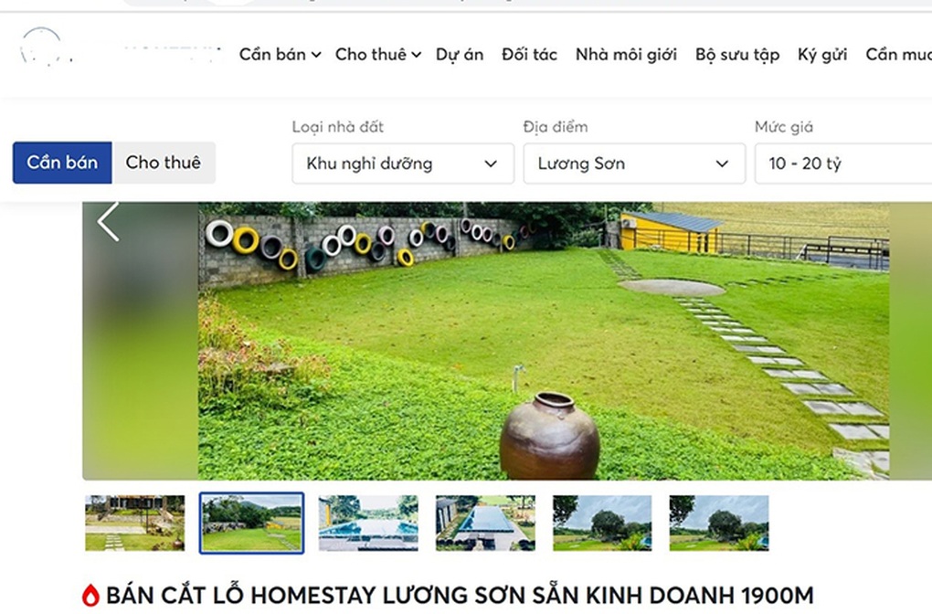 Vỡ mộng bỏ phố về rừng - 3 Vỡ mộng bỏ phố về rừng - 3