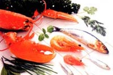 8 biện pháp đề phòng nhiễm bẩn thực phẩm