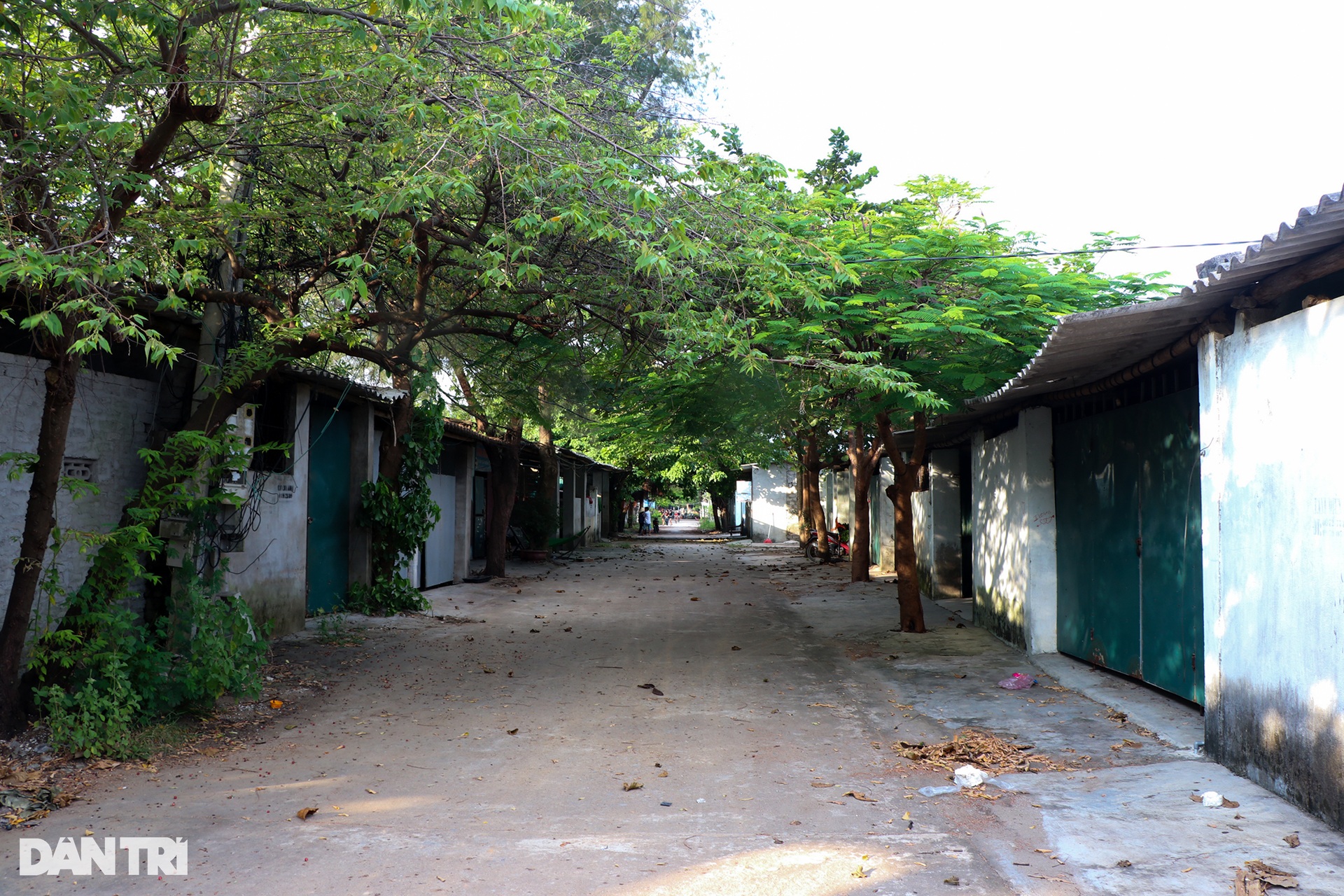 Cảnh hoang tàn nơi thiên đường sung sướng một thời ở miền Trung - 1 Cảnh hoang tàn nơi thiên đường sung sướng một thời ở miền Trung - 1