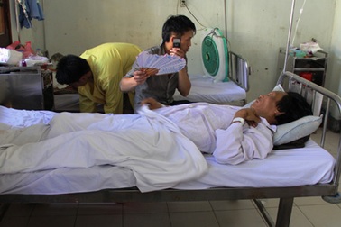 3 người tử vong do ăn nấm độc