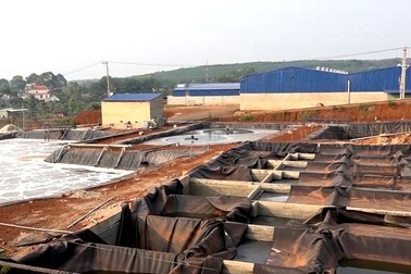 Đình chỉ hoạt động công ty mủ cao su “bức tử” môi trường