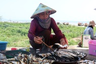 Thợ nướng cá mỏi tay không kịp phục vụ, nghề phụ mang lại một vốn bốn lời