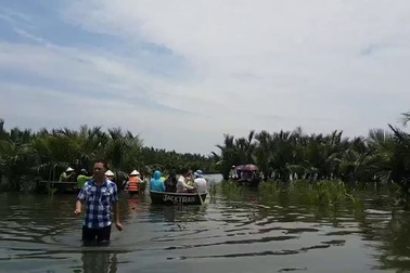 Du khách tham quan rừng dừa nước