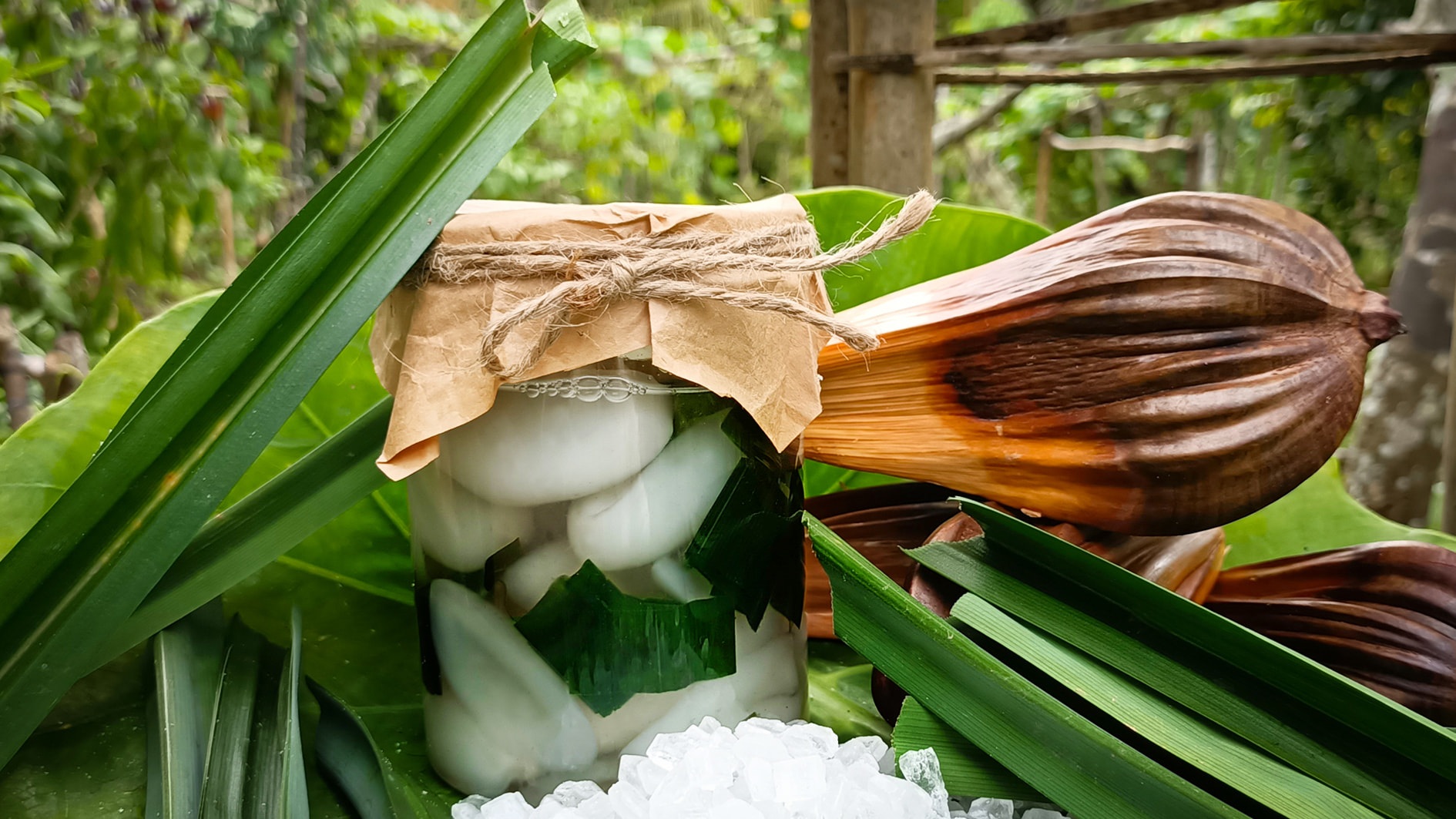 Dừa nước - đặc sản trứ danh Bến Tre do thiên nhiên ban tặng - 8