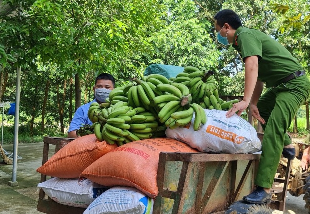 Hơn 1.000 tấn hàng của người dân xứ Thanh gửi tới thành phố mang tên Bác - 4