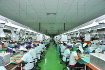 Quảng Ngãi:  Giai đoạn 2016-2020 giải quyết việc làm cho 181.000 lao động