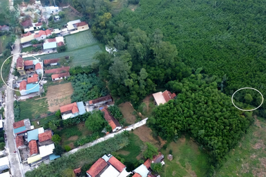 Công an đang điều tra vụ bé trai 2 tuổi mất tích bí ẩn vừa  được tìm thấy