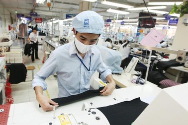 Chính phủ đặt mục tiêu trên 80% người bị tai nạn lao động được bồi thường