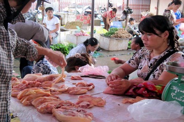 Thịt gà 30.000 đồng/kg lại ồ ạt ra chợ