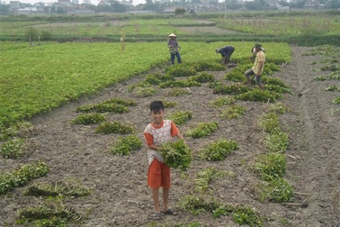 Những đứa trẻ nghèo trong ngày Tết thiếu nhi