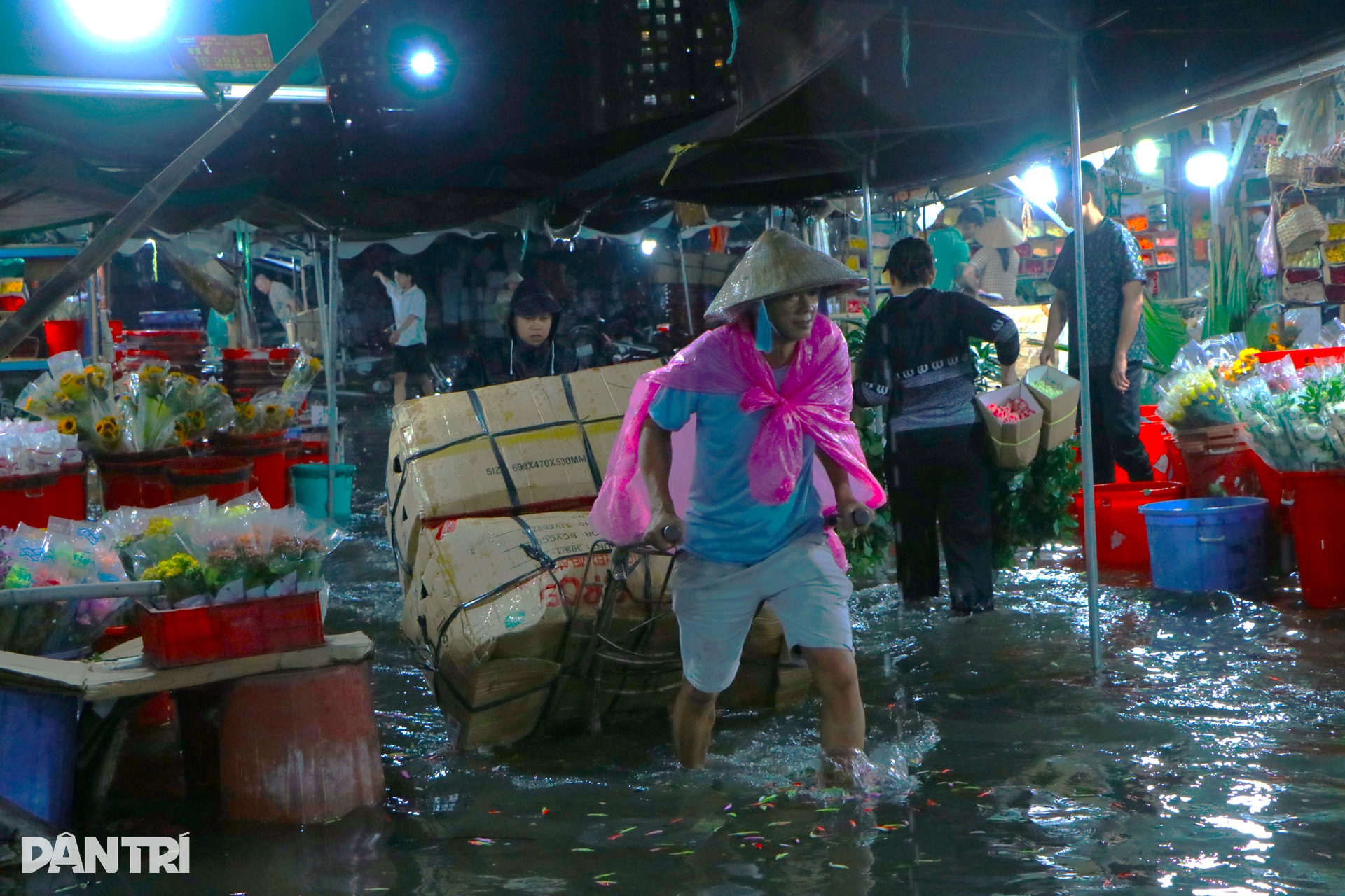 Tiểu thương chợ nông sản lớn nhất TPHCM oằn mình chống chọi triều cường - 2 Tiểu thương chợ nông sản lớn nhất TPHCM oằn mình chống chọi triều cường - 2