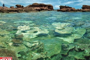 Khám phá vẻ đẹp hoang sơ của An Thới với dải san hô đẹp nhất Việt Nam