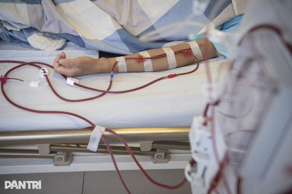 Bóng hồng trong phòng bệnh thế kỷ - 2