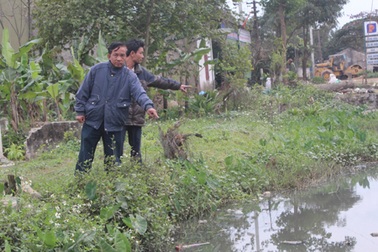 Sẽ đình chỉ hoạt động xưởng chứa da trâu bò gây ô nhiễm môi trường