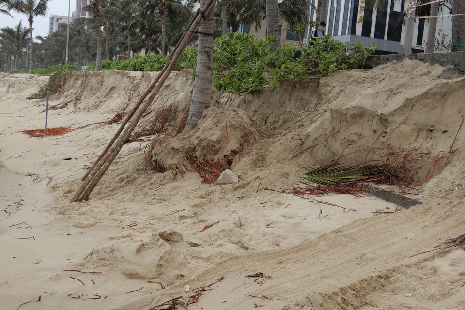 Bờ biển Đà Nẵng sạt lở kinh hoàng, đe dọa nhiều khu nghỉ dưỡng - 5