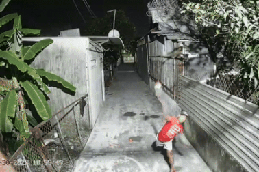 Bắt giữ 2 đối tượng hăm dọa, ném gạch vào nhà người phụ nữ ở TPHCM