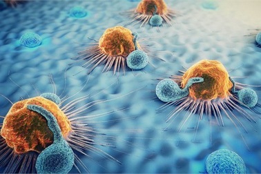 Liệu pháp miễn dịch- hy vọng mới điều trị ung thư